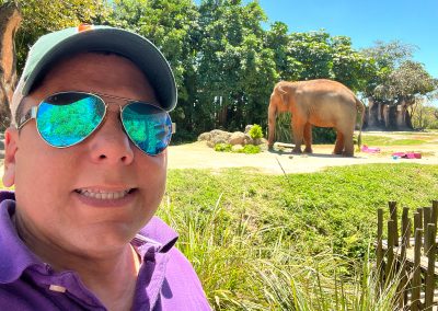 My Visit with Elephants