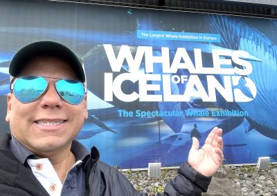 Whales Of Iceland Exhibit, Iceland
